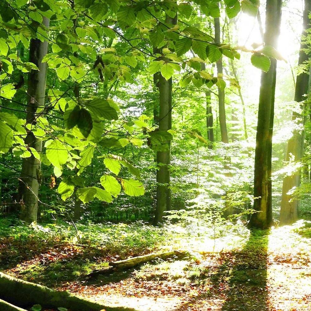 Meet your Posher, Kristian